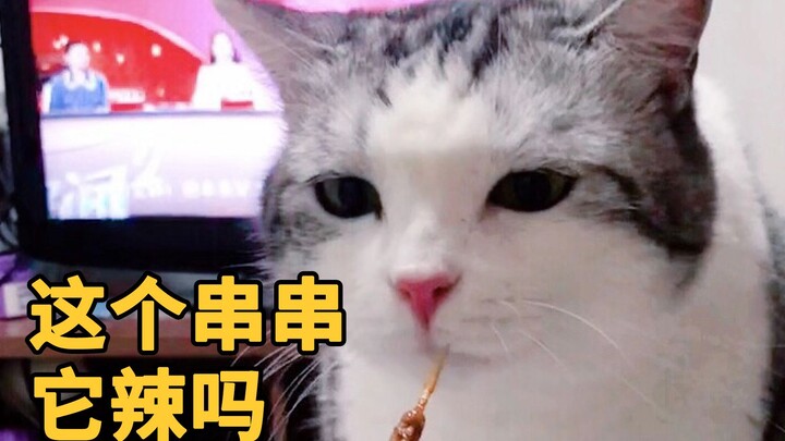 猫：这串串偷偷尝一口，应该问题不大…