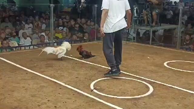 Naka Chamba din