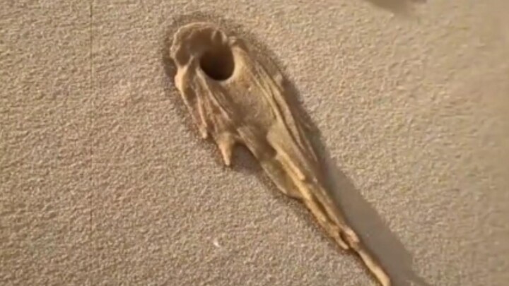 Sand Wall