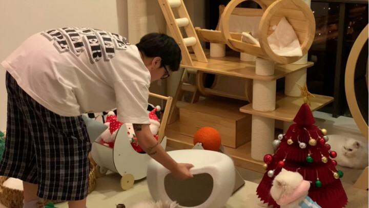 In order to make up for my cat, I spent a lot of money to build a cat room for him
