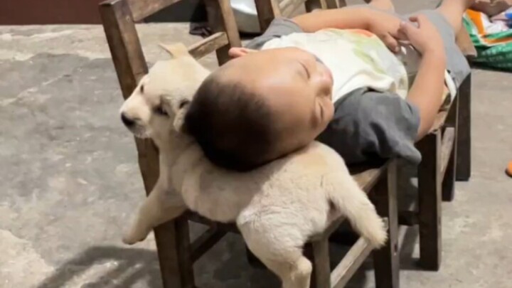 “A childhood without a puppy is incomplete.”