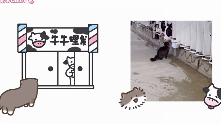 [Cat Wash, Cut, and Blow-Dry] Cat: A little wash, cut, and blow-dry now and then isn’t bad either~