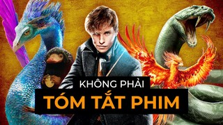 TẤT TẦN TẬT 47 SINH VẬT HUYỀN BÍ TRONG FANTASTIC BEASTS