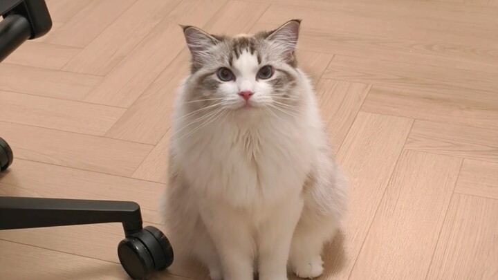 Dad, you haven’t acknowledged me in 5 minutes!