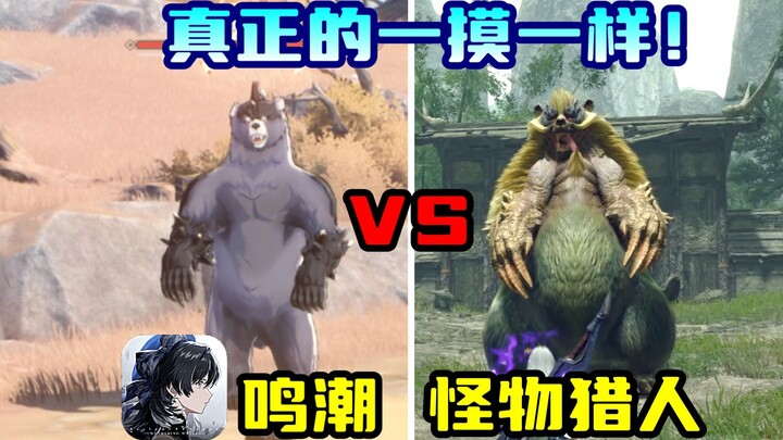 [Mingchao] Comparison between Arrowbear and Bluebear