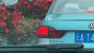 Video về xe tưới nước thời thơ ấu bị lộ