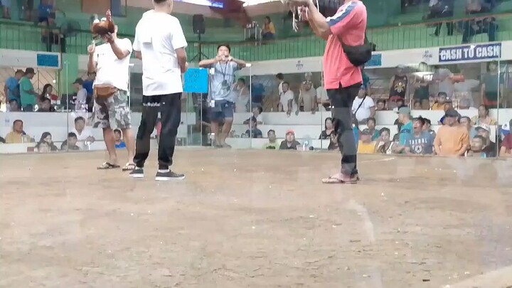 whitekelsoxsweater loss