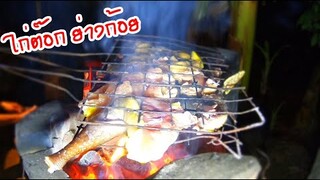 ไก่พันนี้ทำเมนูอะไรก็อร่อย โดยเฉพาะเมนูก้อยเลือดสมุนไพร
