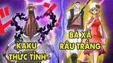 Full One Piece 1072 | Kaku Thức Tỉnh Vs Zoro, Bà Xã Râu Trắng - Stussy Cp0