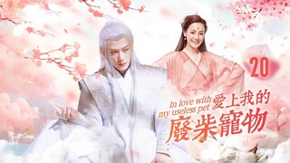 EngSub《愛上我的廢柴寵物》 #赵露思 前世她是仙界人人可欺的廢柴寵物，被心愛的主人#檀健次 親手殺死，重生後涅槃成鳳凰女神復仇EP20