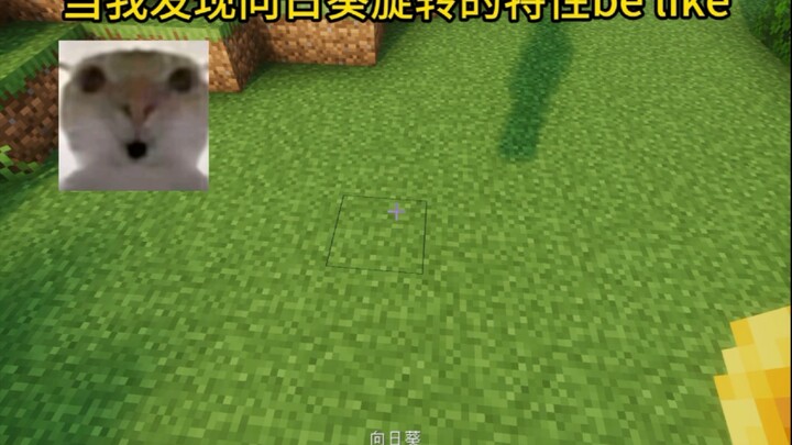 ماينكرافت: هكذا يكون شعوري عندما اكتشف خاصية دوران عباد الشمس