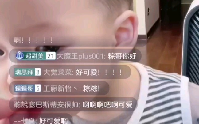 【啊吗粽直播】粽粽也太可爱了了叭，这是可以看的吗家人们