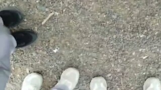 الذهب الإلهي.