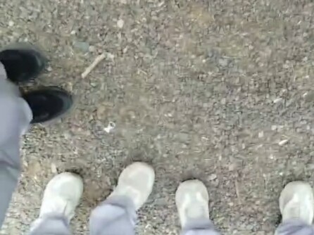 الذهب الإلهي.