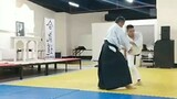Aikido Shihonage technique.