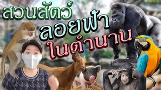 Part 2/2 สวนสัตว์ลอยฟ้าในตำนาน สวนสัตว์พาต้า Ep.153