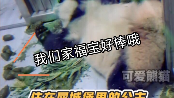 Grandpa Jiang, Blinded by Love