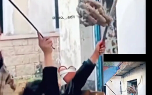 Kinh nghiệm độc quyền