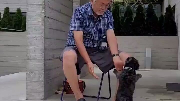 Rekaman Moon Jae-in menghibur anjing di rumah setelah pensiun (suara bising latar belakang adalah pa
