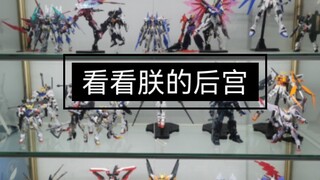 《胶 佬 的 后 宫》