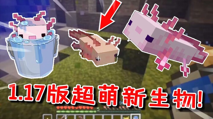 Minecraft: Sinh vật mới siêu dễ thương đã xuất hiện trong MC? Nội dung cập nhật 1.17 đã được công bố