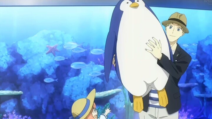 อาเนียได้เพนกวินตัวใหญ่จากลอยด์ Spy x Family ตอนที่ 12