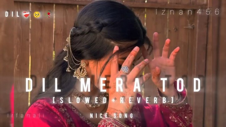 Dil Mera Tod Diya Usne (Slowed Reverb)Alka Yagnik |Kota Lofi Like please!🥺❤️