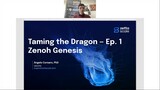 Taming the Dragon: Zenoh Genesis