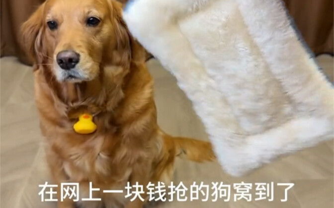 Who else gets this? Feels like I’ve been ripped off, yet somehow it still feels like such a steal!