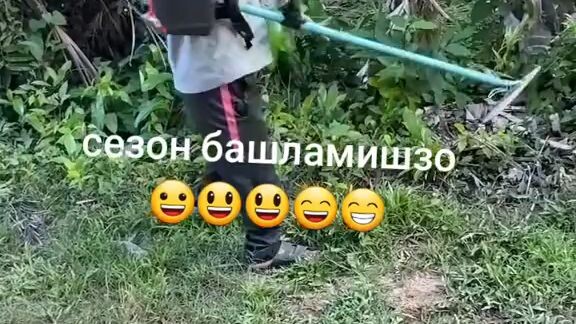 The ay ayyy ayyyyyyyy ayy 🤣
