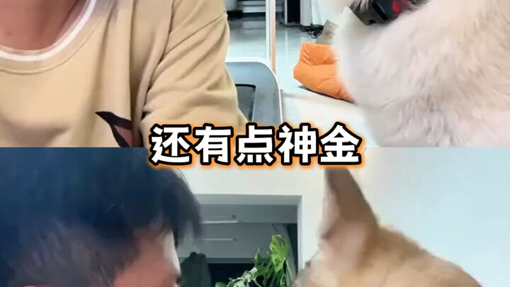 บล็อกเกอร์คนนี้น่ารักมากเลย (เจ้าของบ้านหญิง)