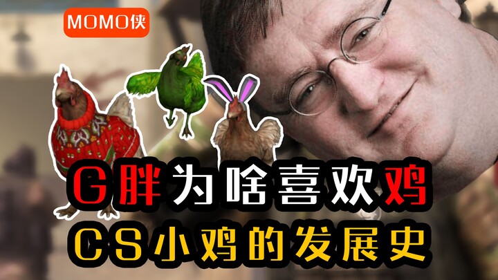 Mengapa G胖 suka ayam? Sejarah perkembangan CS "ayam kecil"