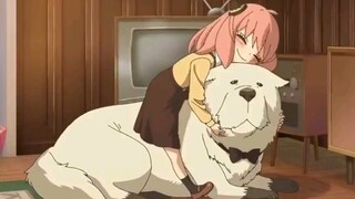 SPY×FAMILY Season 1, second half TV ending theme song "Colors"