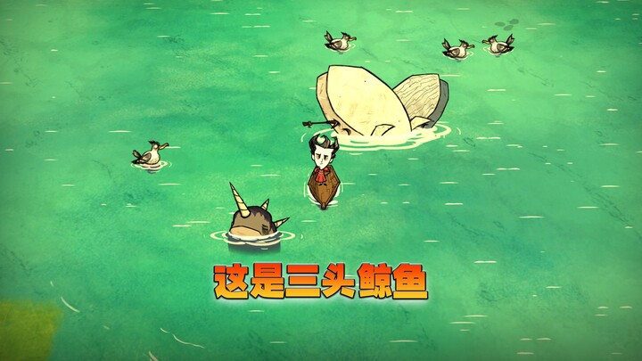 ناز: نسخة الإنترنت من Hunger: هذه ثلاثة حيتان، ما هي فائدتها؟