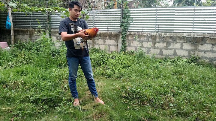 katuwaan practice magtari Kasama Ang tropa🐓👌