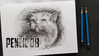 TUTORIAL MENGGAMBAR KUCING - CAT DRAWING TUTORIAL