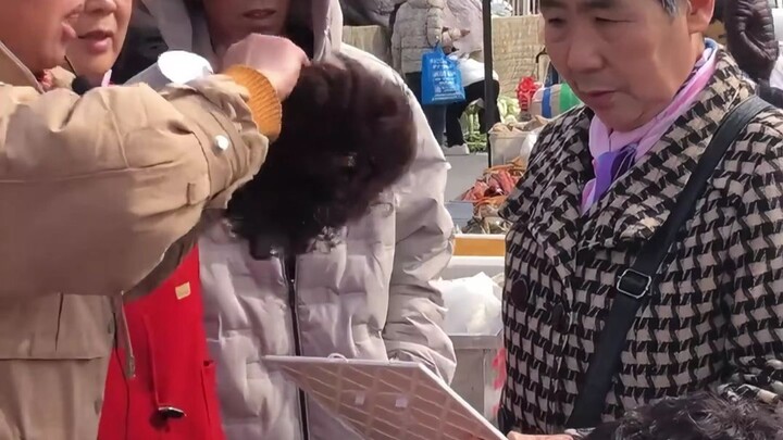 Internet Profiles, Episode 119: Xiao Zhang with a Wig