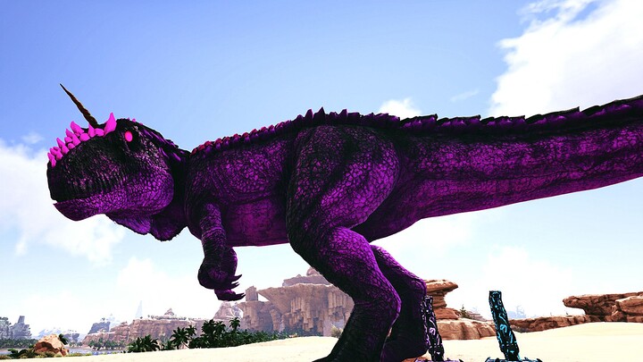 【شامي】يا لك من مجنون! الوحش الخالد الأبدي! السفينة: الجزء الأبدي الحلقة 13