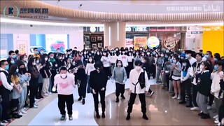 当馍妹继承了小档的社牛