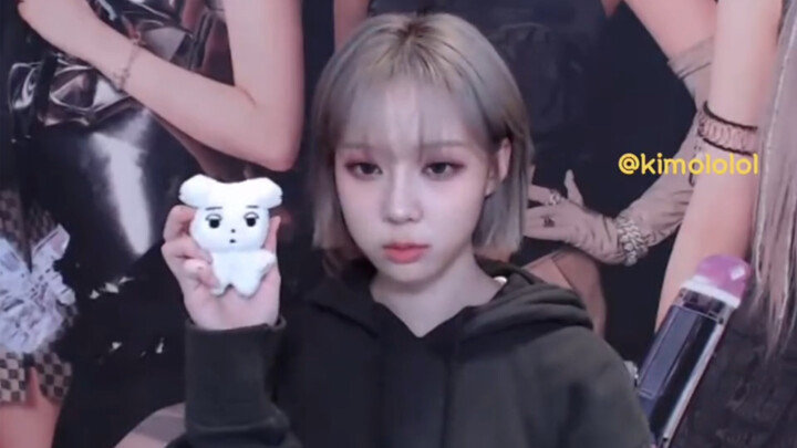 Tôi và con chó này có giống nhau lắm không?