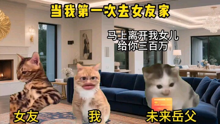 当我第一次去女友家