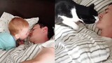 How A Little Baby & A Cat Wake Up Daddy in The Morning