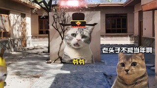 When I came home and saw Grandpa singing to Grandma