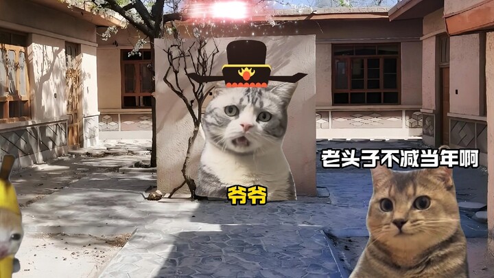 เมื่อฉันกลับบ้านและเห็นคุณปู่ร้องเพลงให้คุณย่าฟัง