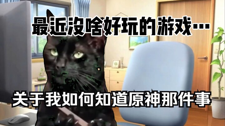 [มีมแมว] เกี่ยวกับวิธีที่ฉันติดเกมเก็นชินอิมแพกต์ และ...