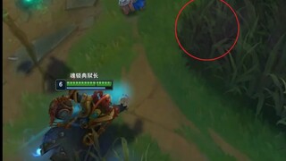 Hoa hư không