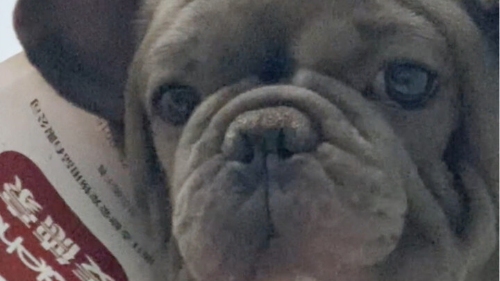 I’m so busy today—I’ll just do one episode for now.