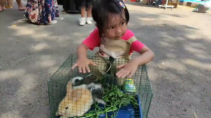 Jalan-jalan Pasar Nggruput Pringsewu berburu kuliner dan beli kelinci