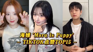 [Maru is Puppy] ชาเลนจ์เพลงประกอบของแฮวอนฮิตมาก! ซึงมินคนเดียวก็ทะลุ 1 ล้านวิวแล้ว! อึนแช ชูฮวา และส