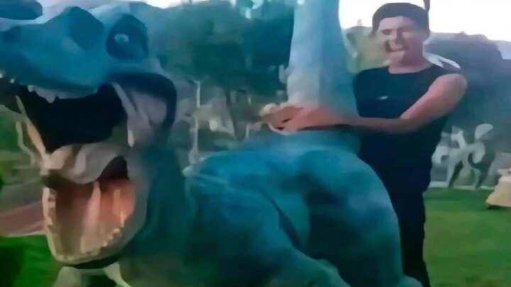 [Meme Compilation] That Will Force You to Become a Furries Enthusiast If You Don’t Laugh After Watch